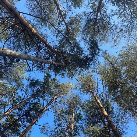 Lasownia Dom Sojka Ferienhaus *