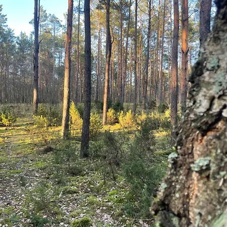Lasownia Dom Sojka Ferienhaus *